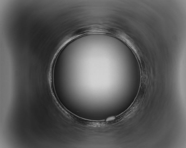 X0000097821195200803201431