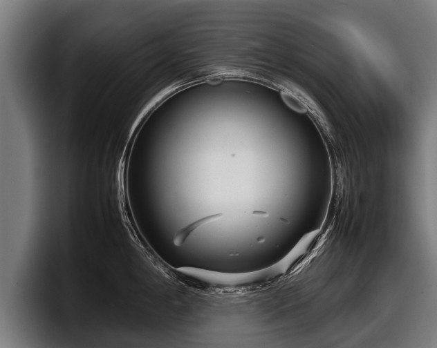 X0000097821198200803201431