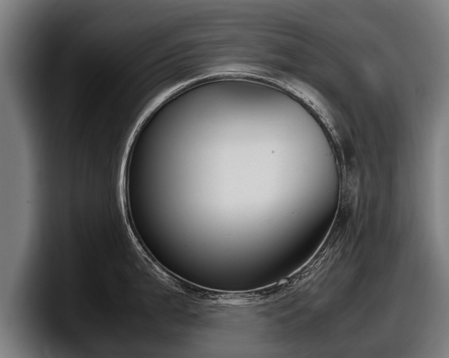 X0000097821199200803201431