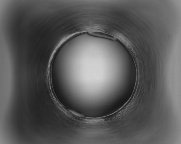 X0000097821200200803201431