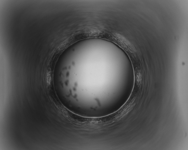 X0000097821204200803201430