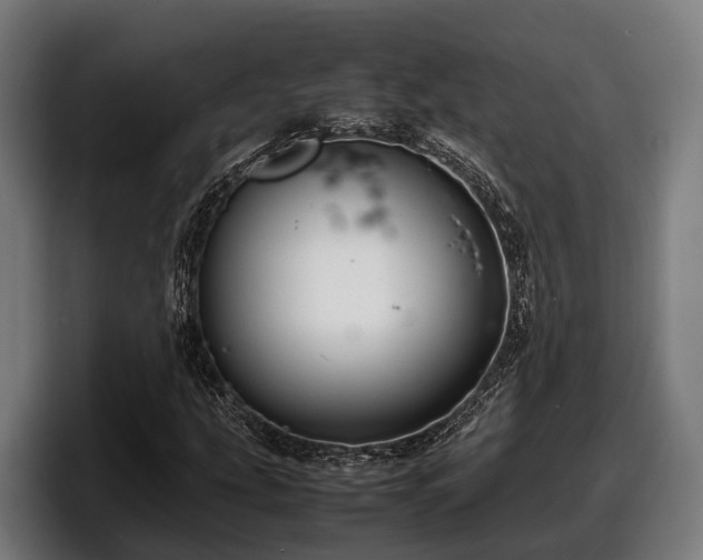 X0000097821207200803201431