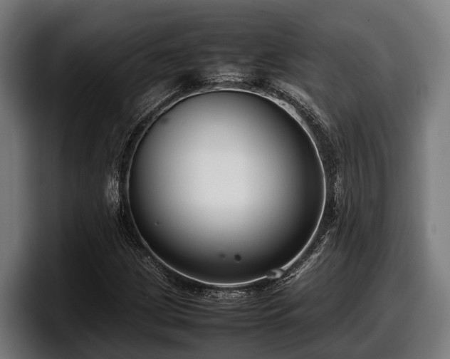 X0000097821209200803201431