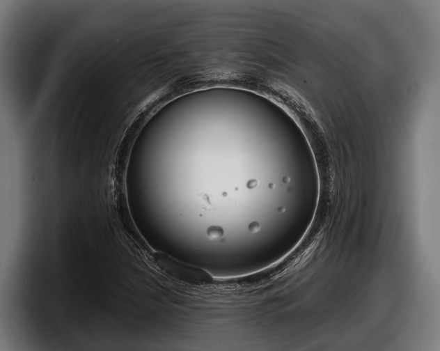 X0000097821210200803201431