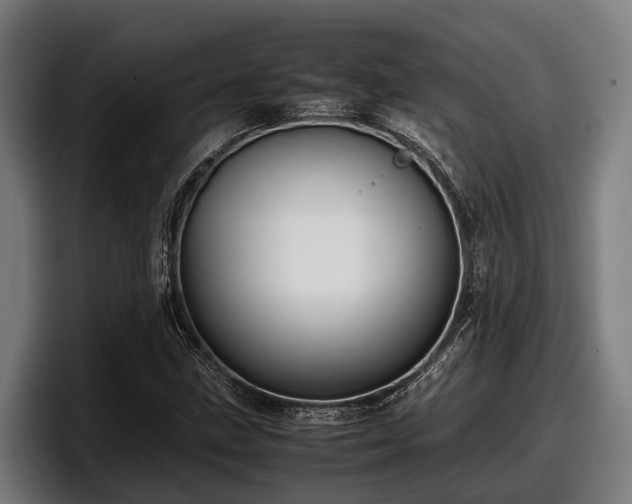 X0000097821211200803201431