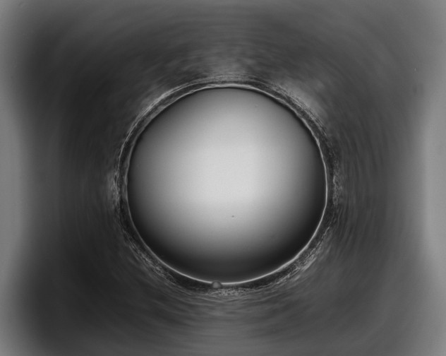 X0000097821212200803201431