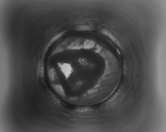 X0000097821213200803201431