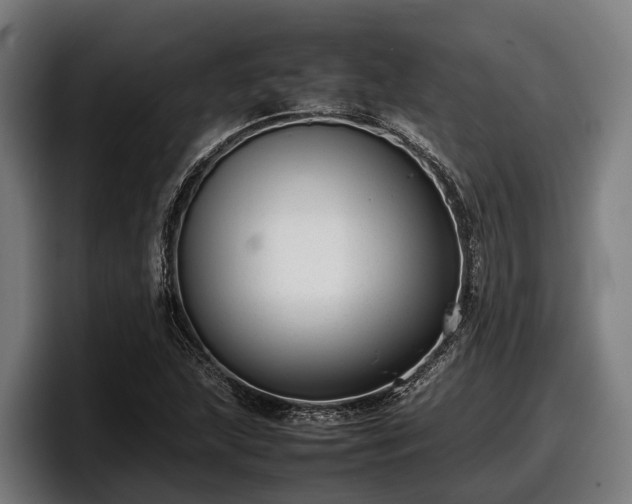 X0000097821215200803201431