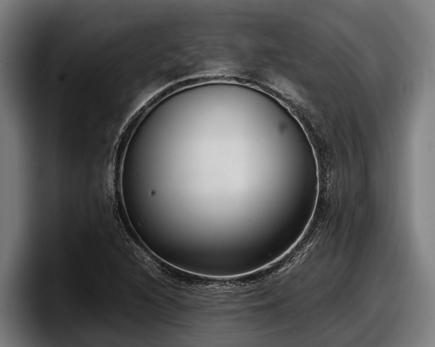 X0000097821216200803201431