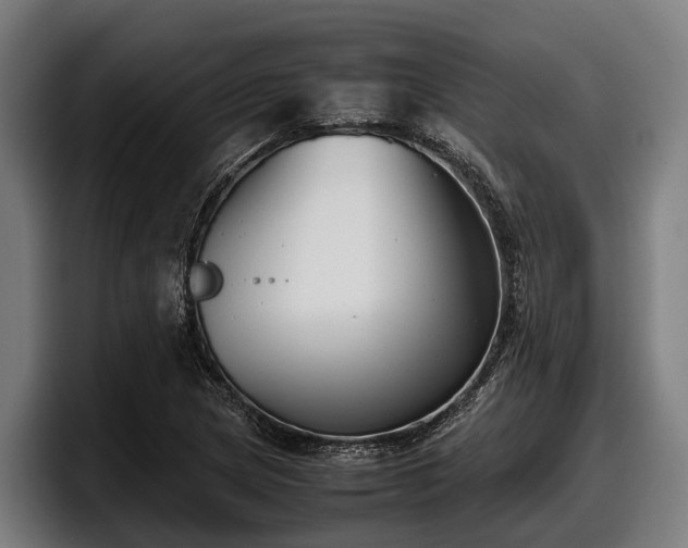 X0000097821217200803201431