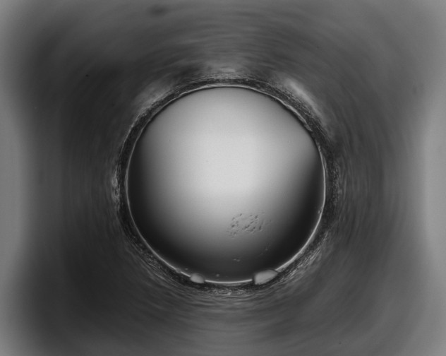 X0000097821218200803201431