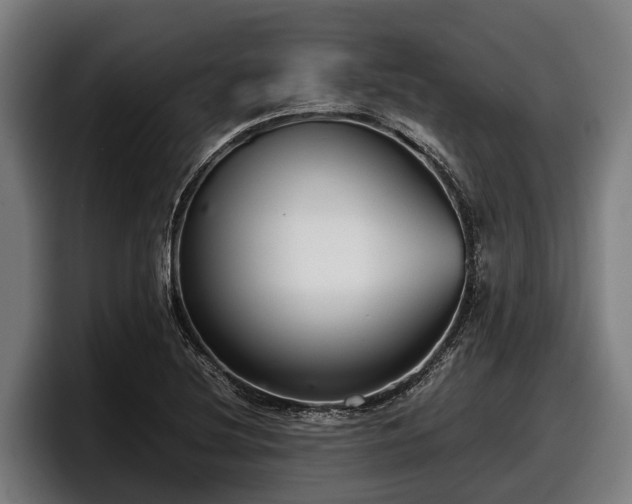 X0000097821220200803201431