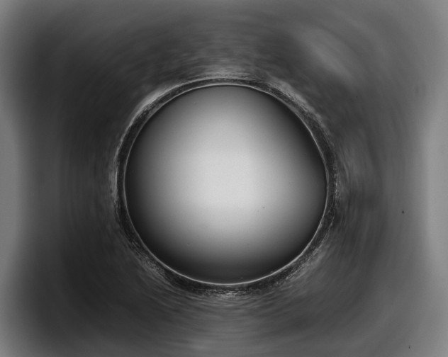 X0000097821222200803201431