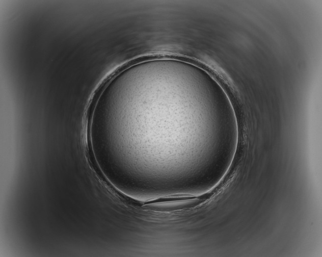 X0000097821224200803201431