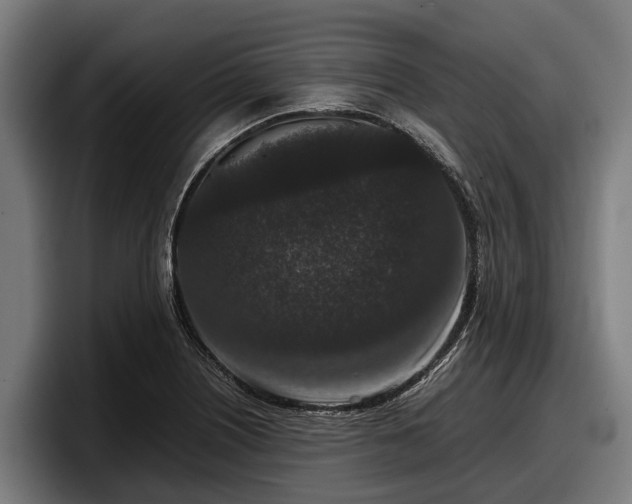 X0000097821226200803201431