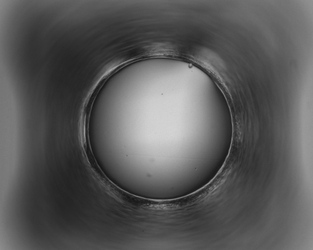 X0000097821227200803201431