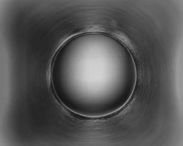 X0000097821228200803201431