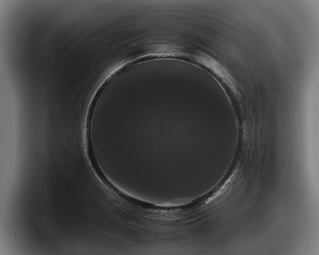 X0000097821229200803201431