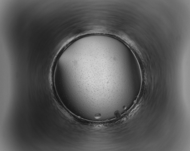 X0000097821230200803201431