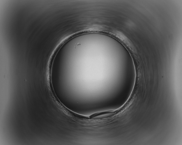 X0000097821232200803201431