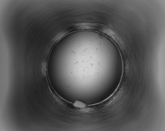 X0000097821233200803201431