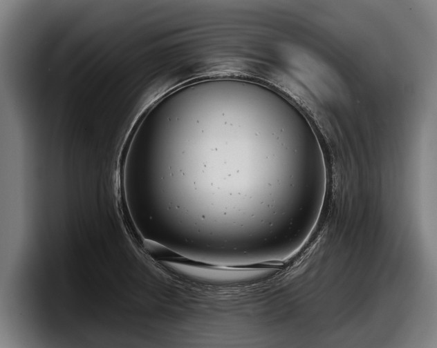 X0000097821234200803201431