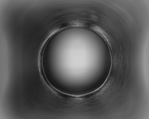 X0000097821235200803201431