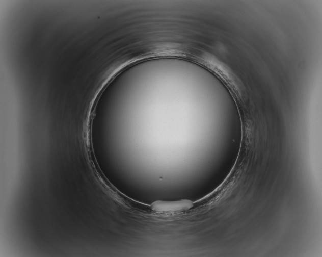 X0000097821236200803201431