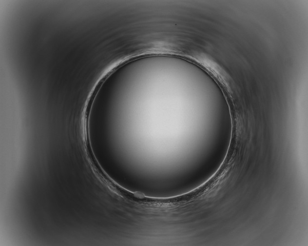 X0000097821238200803201431