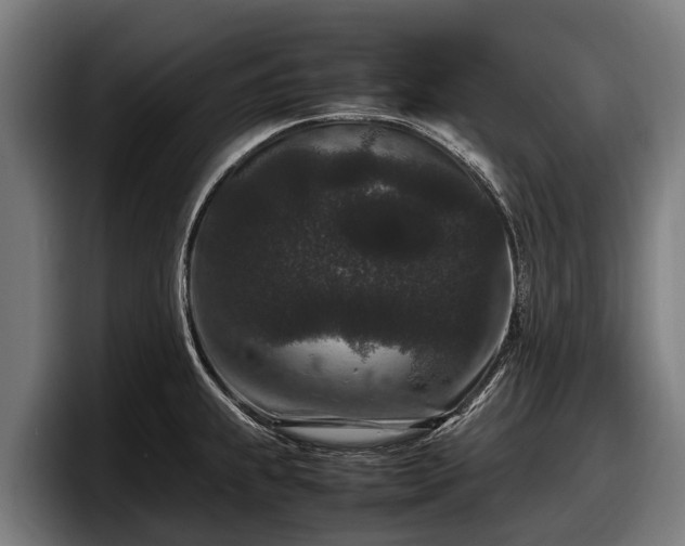 X0000097821239200803201431