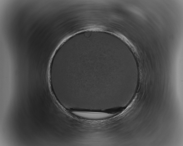 X0000097821240200803201431