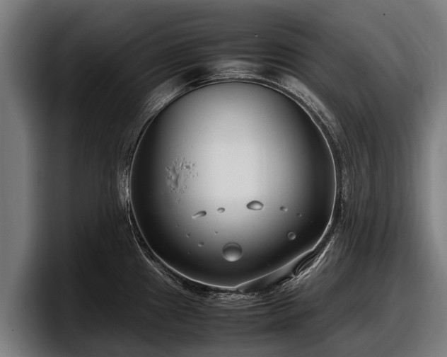 X0000097821241200803201431