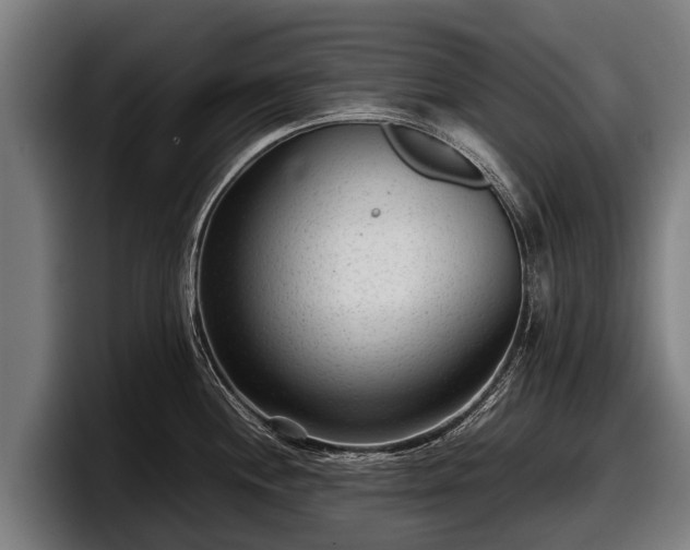 X0000097821244200803201431