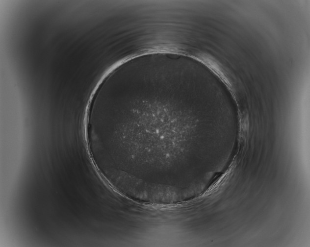 X0000097821246200803201431