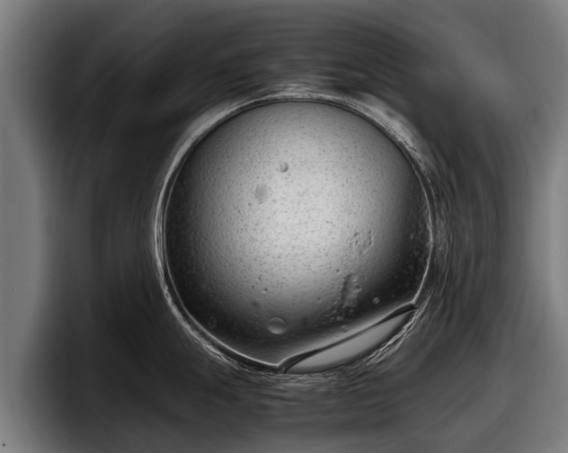 X0000097821247200803201431