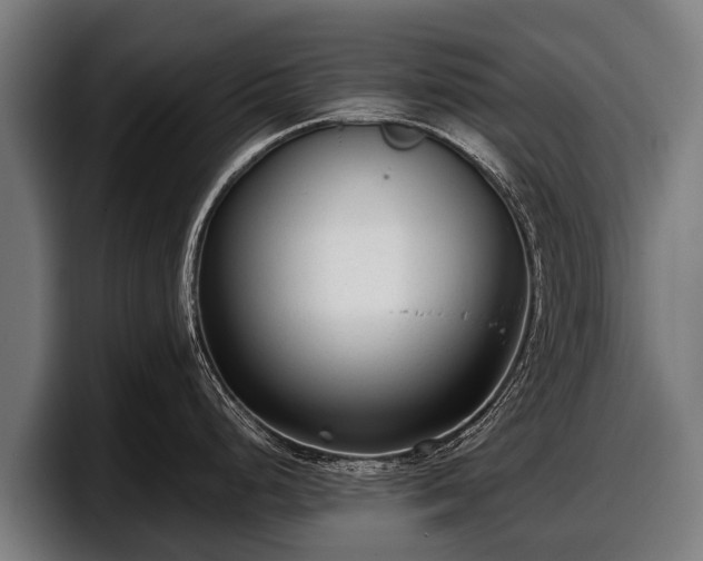 X0000097821248200803201431