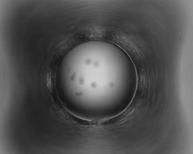 X0000097821250200803201430