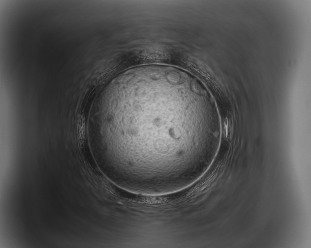 X0000097821251200803201430