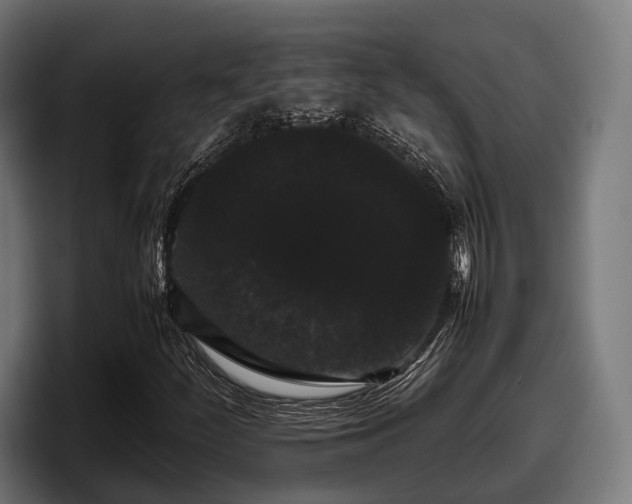 X0000097821252200803201430