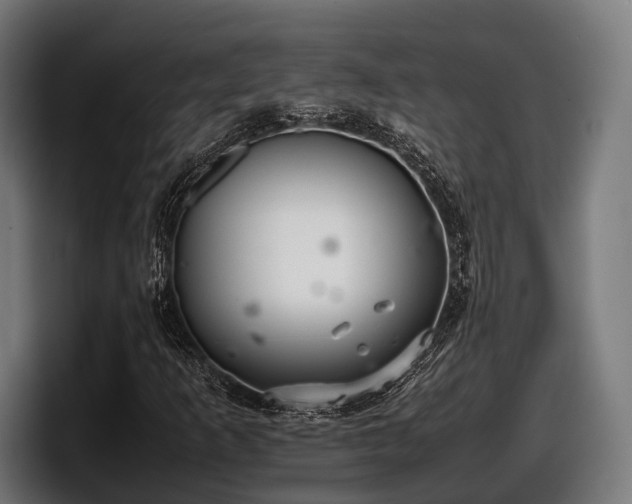 X0000097821253200803201430