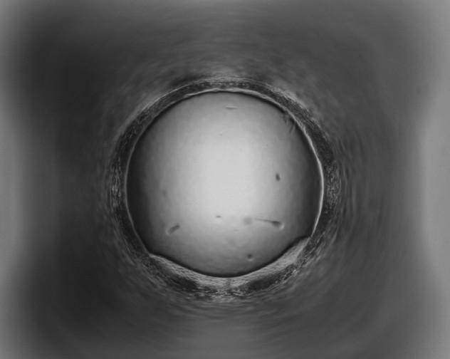 X0000097821255200803201430