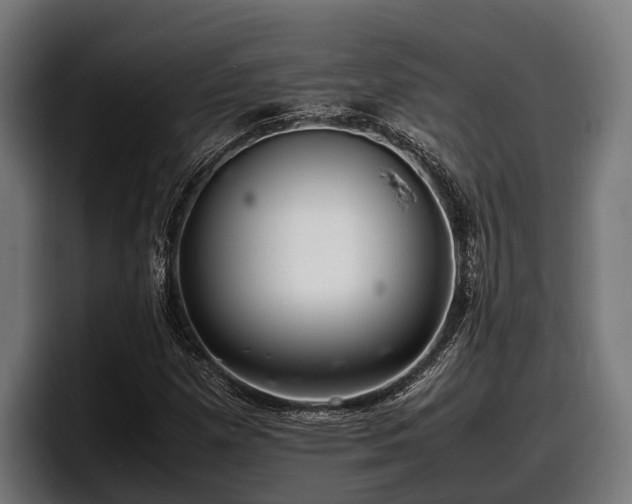 X0000097821257200803201430