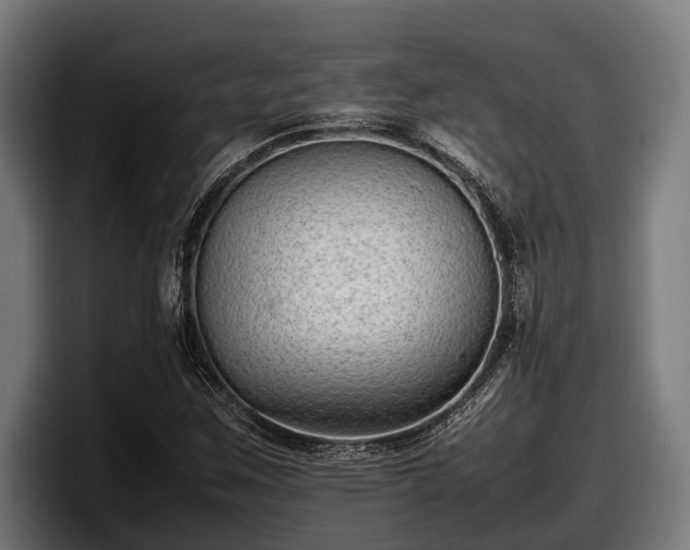 X0000097821259200803201430