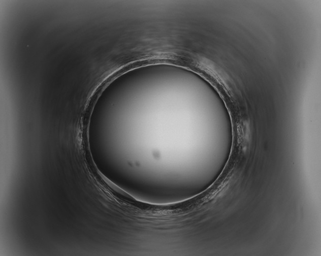 X0000097821260200803201430