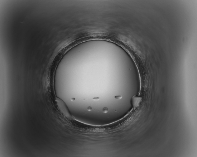 X0000097821261200803201430