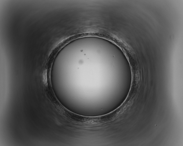 X0000097821262200803201430