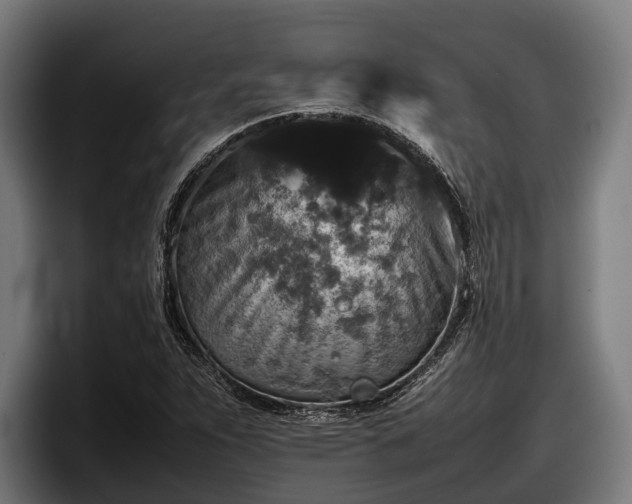 X0000097821263200803201430