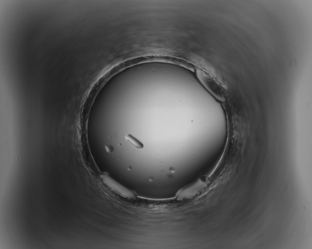 X0000097821264200803201430