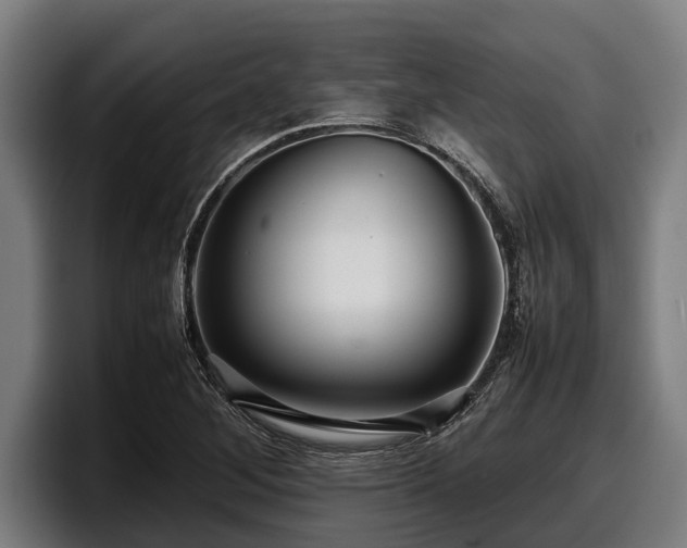 X0000097821268200803201430