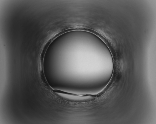 X0000097821269200803201430